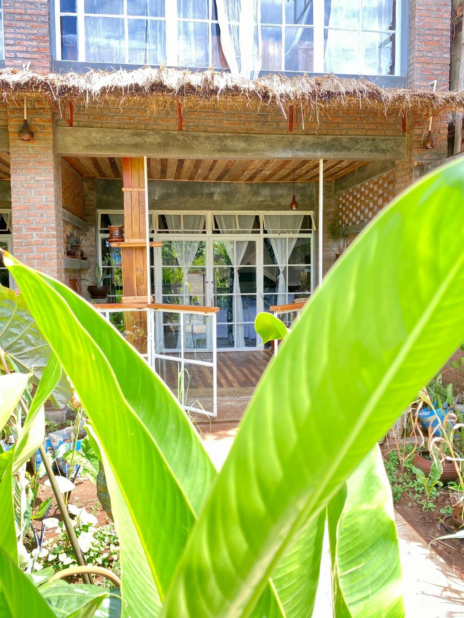 Mount Kilimanjaro 360 View Cottage Uru Εξωτερικό φωτογραφία