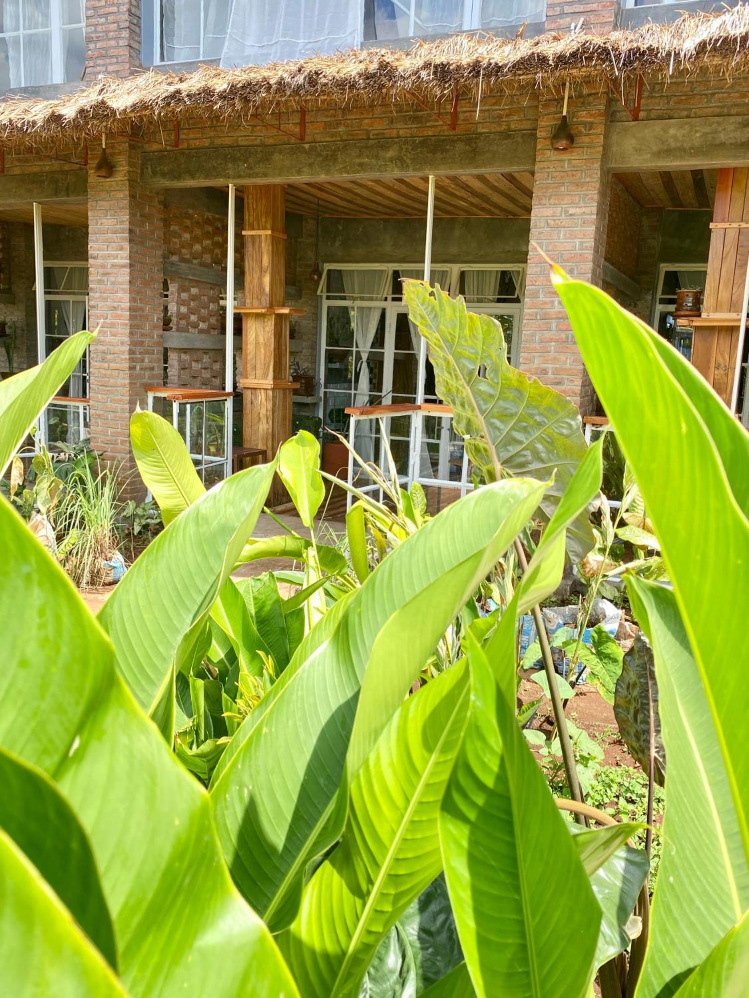 Mount Kilimanjaro 360 View Cottage Uru Εξωτερικό φωτογραφία
