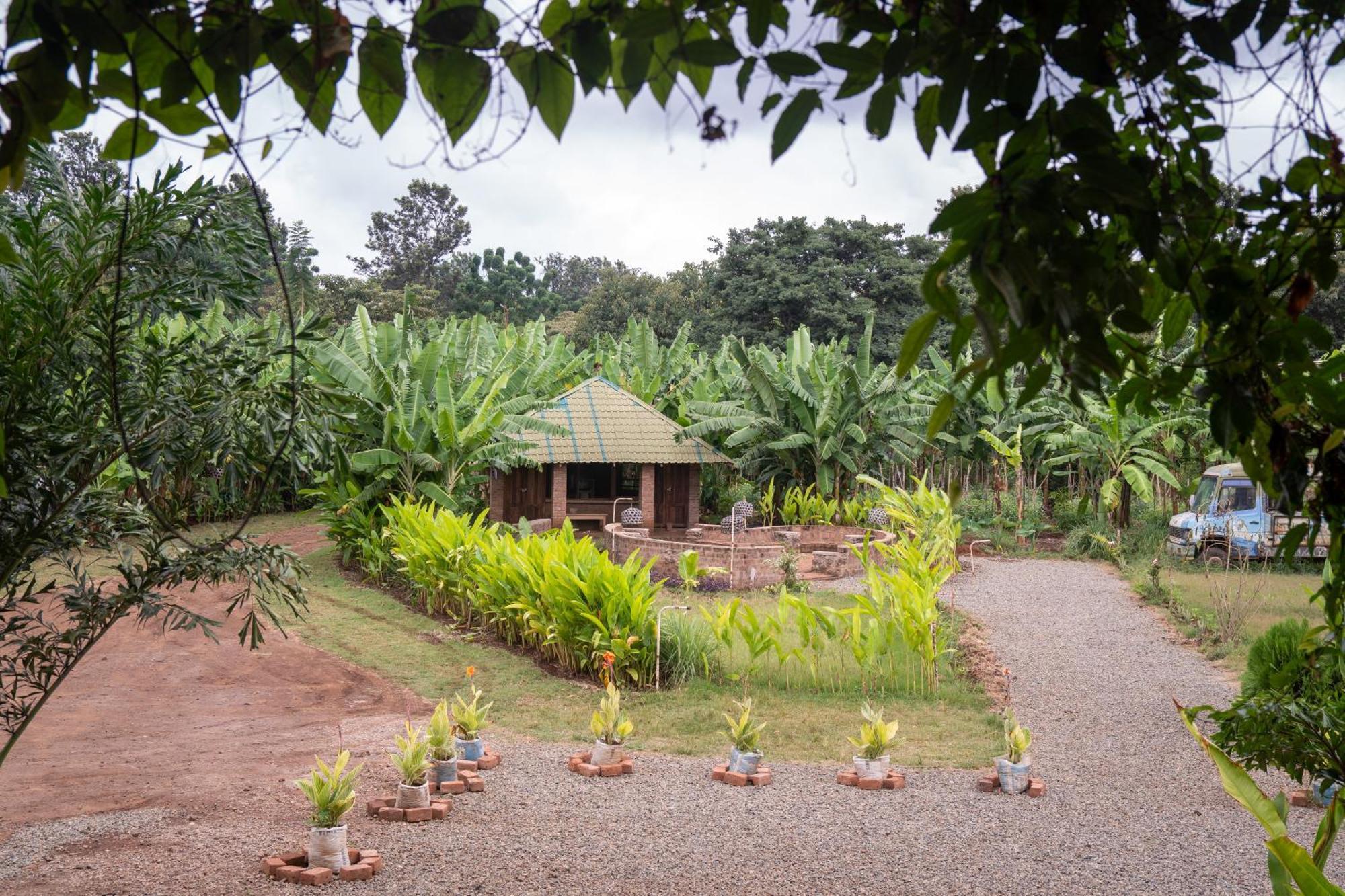 Mount Kilimanjaro 360 View Cottage Uru Εξωτερικό φωτογραφία