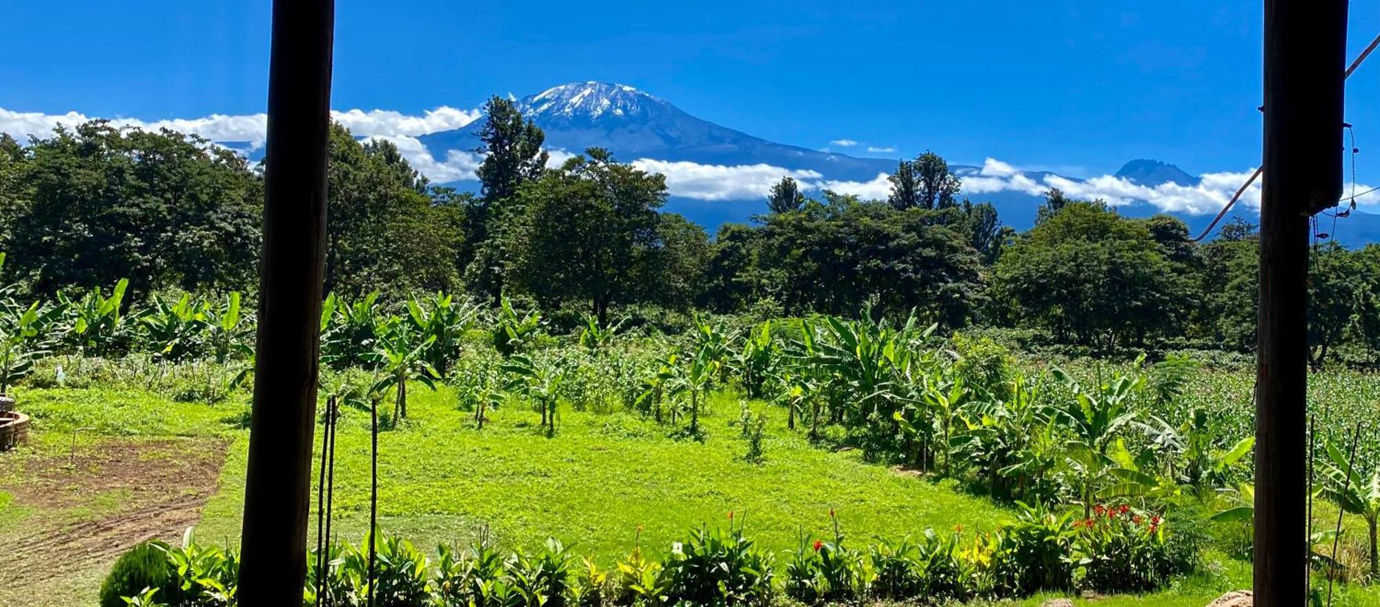 Mount Kilimanjaro 360 View Cottage Uru Εξωτερικό φωτογραφία