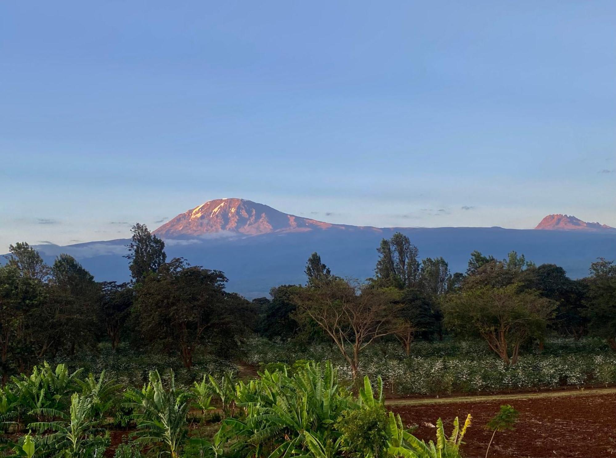 Mount Kilimanjaro 360 View Cottage Uru Εξωτερικό φωτογραφία